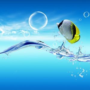 Meet your Posher, Brook